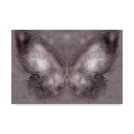 RUNA 'Butterfly Coloring' Canvas Art,12x19 -  TRADEMARK FINE ART, ALI21636-C1219GG